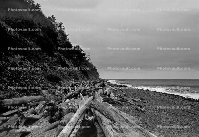Seaside, Driftwood, Pacific Ocean, Beach