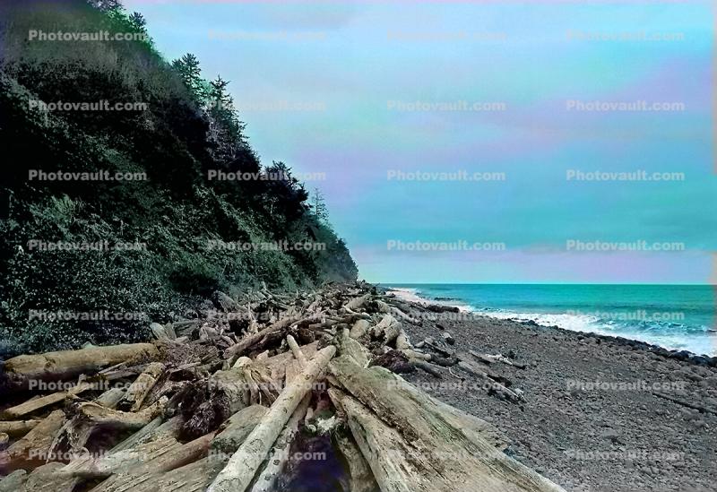 Seaside, Driftwood, Pacific Ocean, Beach
