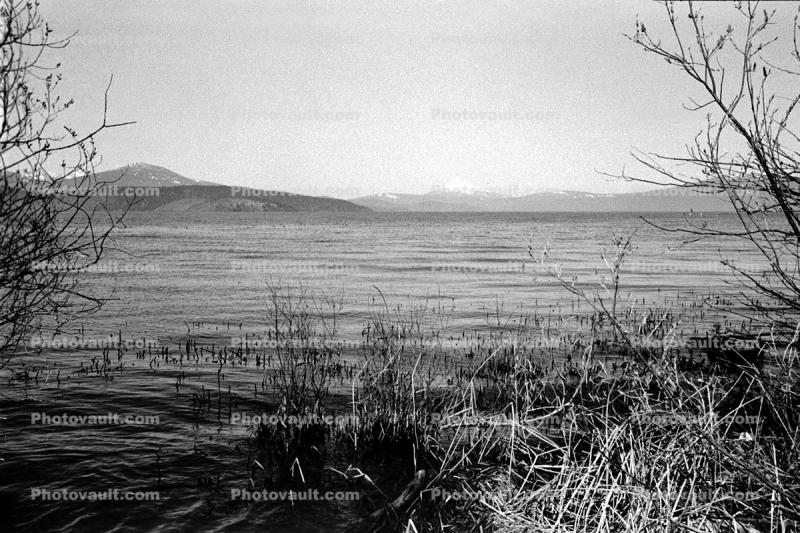 Upper Klamath Lake, southern Orgon, water