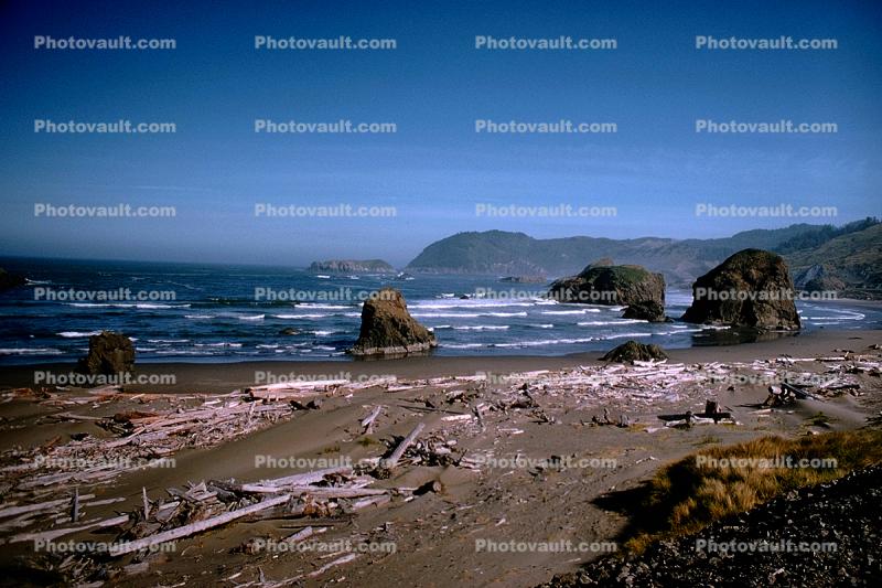 Pacific Ocean, Seascape, Driftwood, Rocks, Beach, Sand, Sandy