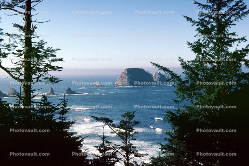 Three Capes Route, Rocks, Trees, Waves, Seashore, Shore, Pacific Ocean