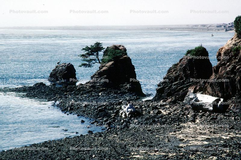 Rocks, Pebbles, Seashore, Pacific Ocean