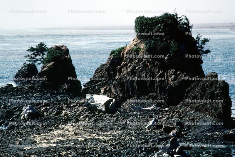 Rocks, Pebbles, Seashore, Pacific Ocean