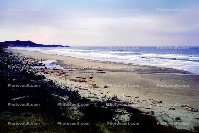 Shore, Pacific Ocean, Seascape, Beach, Driftwood, Newport