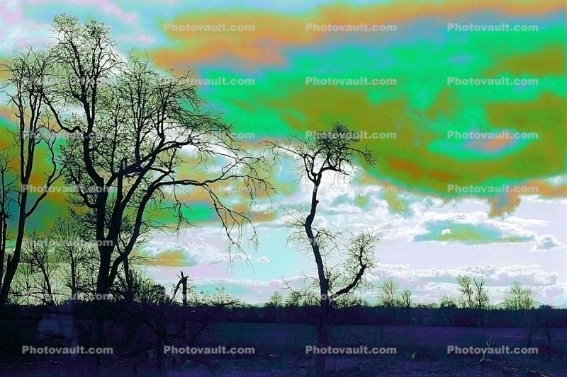 Psychedelic Green Bare Trees, psyscape