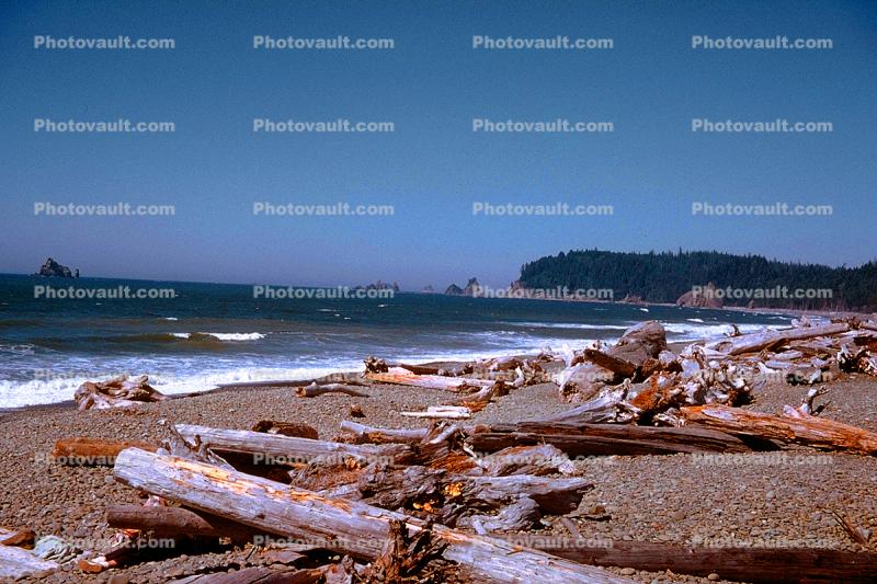 driftwood, tree, flotsam and jetsam, beach, pebbles, ocean, 1950s