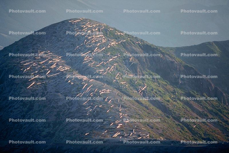 felled trees by the blast, ridge, mountain peak, forest