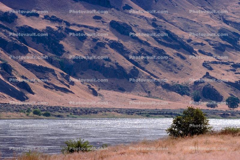 Columbia River, desert, water