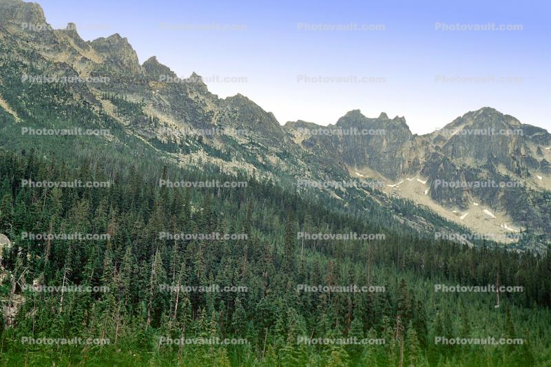 Mountains, peak, forest