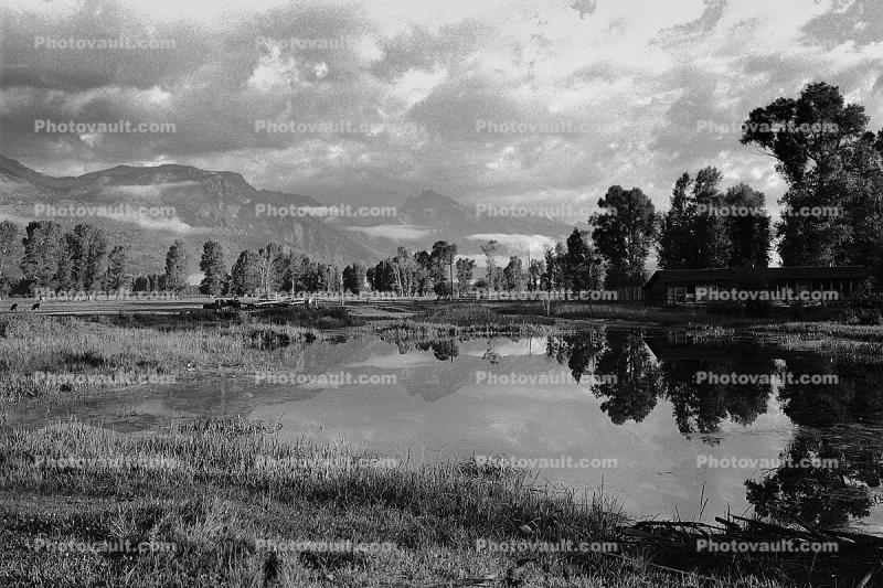 Teton Mountain Range, Snake River Ranch, pond, lake, reflection, trees