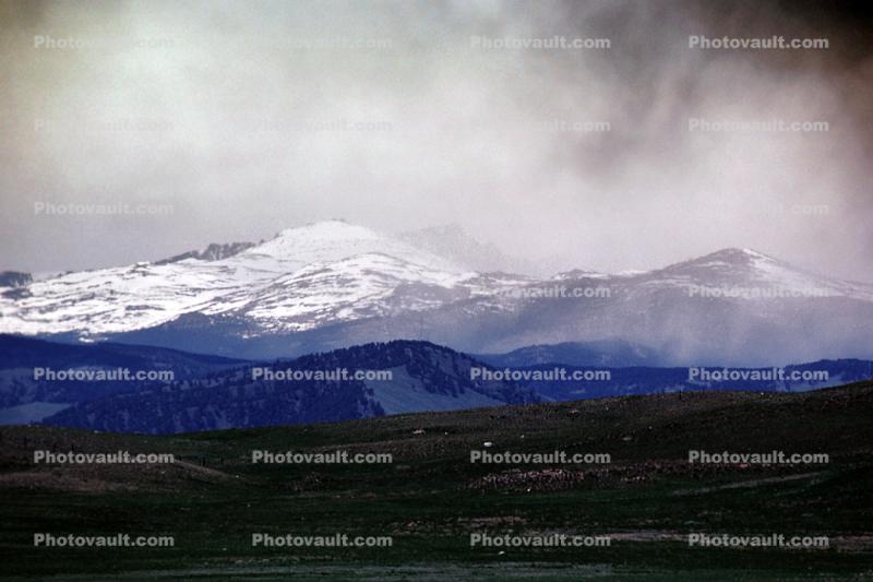 Storm Landscape, Mountains, Devils Tower, Ponderosa Pine Forest