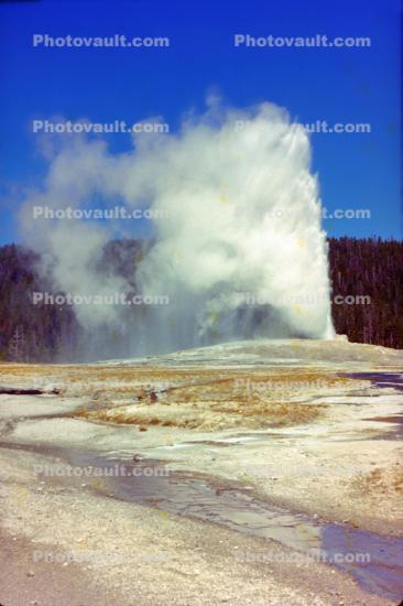 Hot Spring, Geyser, Geothermal Feature, activity, Extremophile, Thermophile