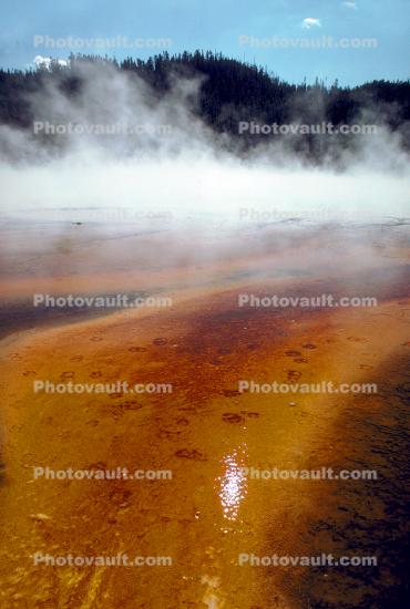 Grand Prismatic Hot Springs, Hot Spring, Geothermal Feature, activity, Extremophile, Thermophile, geochemically extreme conditions