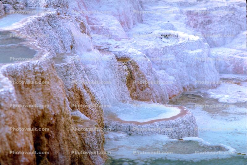 Minerva Hot Springs, Hot Spring, Geothermal Feature, activity, Extremophile, Thermophile, geochemically extreme conditions