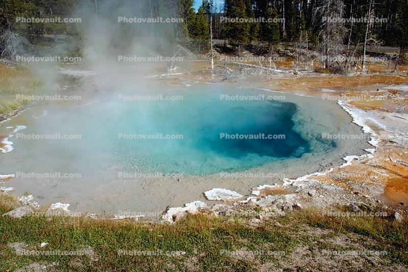 steam, water, pond, Hot Spring, Geothermal Feature, activity