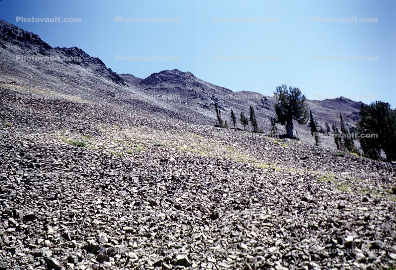 barren hillside, rocks