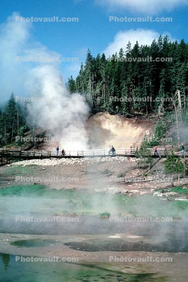 Hot Spring, Forest, Steam, Geothermal Feature, activity