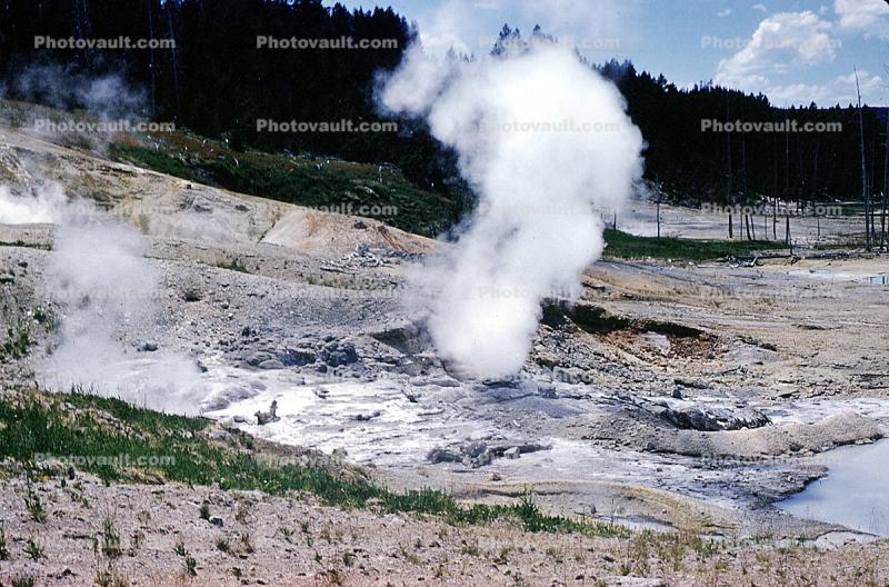Geyser, Hot Spring, Madison Junction, Hot Ponds, geothermal feature, activity