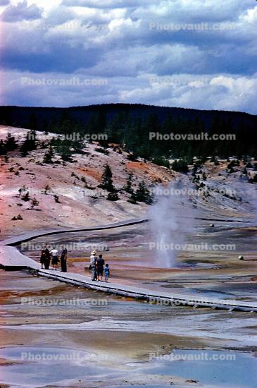 Geyser, Hot Spring, Madison Junction, Hot Ponds, geothermal feature, activity