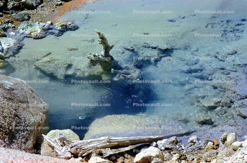 Madison Junction, Hot Spring, Bubbles, Hot Ponds, geothermal feature, activity