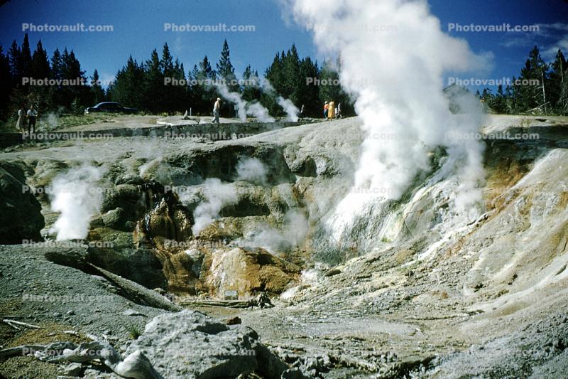 geochemically extreme conditions, Geyser, Hot Vent, Sulfer, springs, moss, hot water