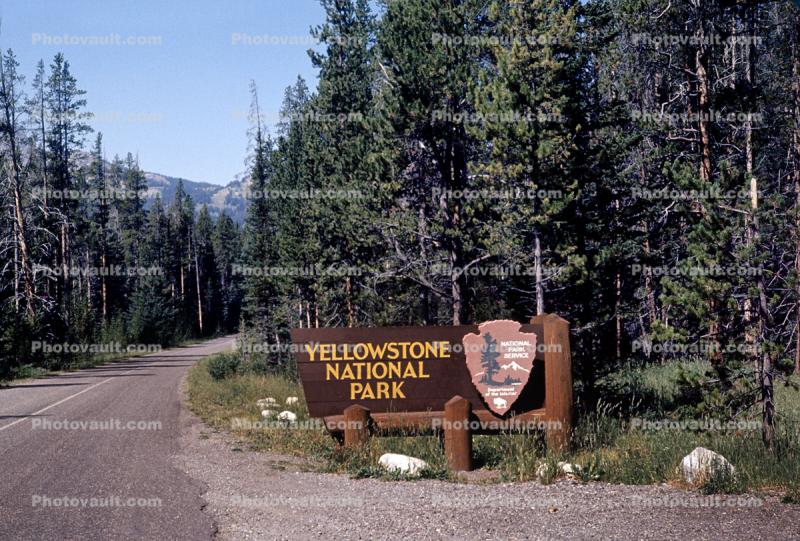Yellowstone National Park Sign, Entrance, Forest, Trees, Highway, roadside