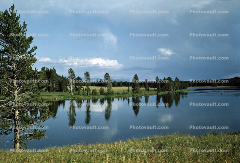 Reflcting Lake with Trees, Meadow