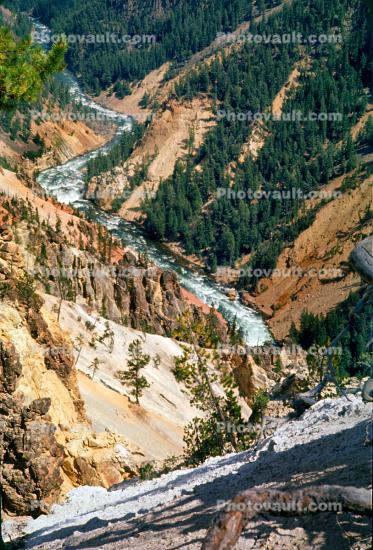 Grand Canyon of the Yellowstone, Valley, River, Forest
