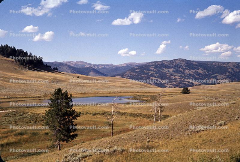 Meadow west of Tower Junction, Hills, Mountains, Lone Tree, Lake