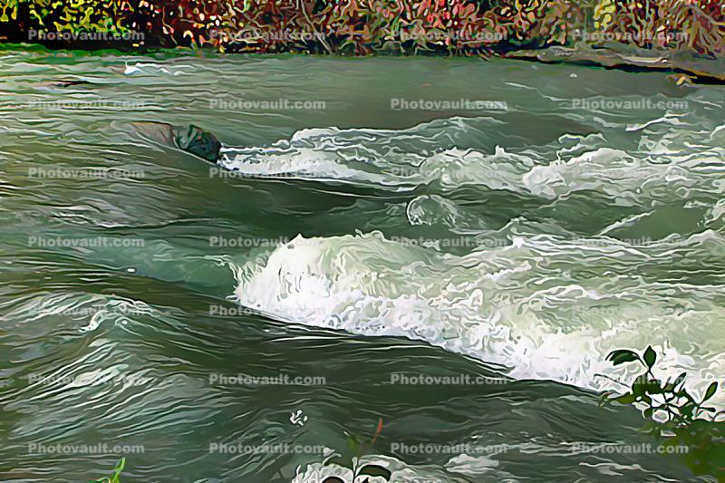 River, white water, Abstract