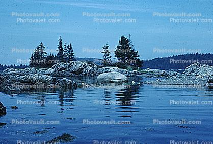Bear Island, Penobscot Bay, Harbor, trees