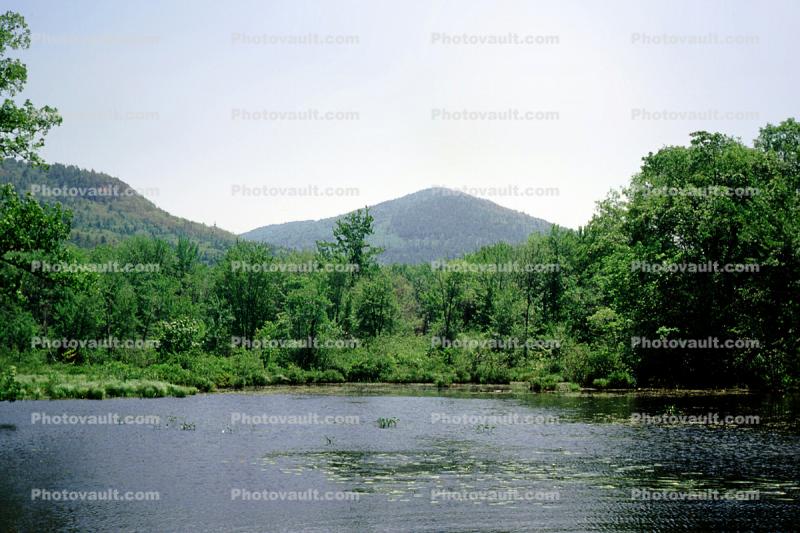 lake, pond, forest, mountain, water