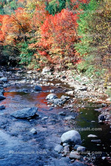 Fall cololrs, River, Stream