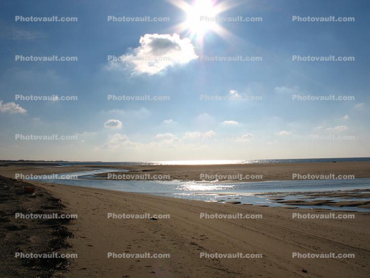 Sand Dunes, Cape Cod, Seashore, Atlantic Ocean, daytime, daylight
