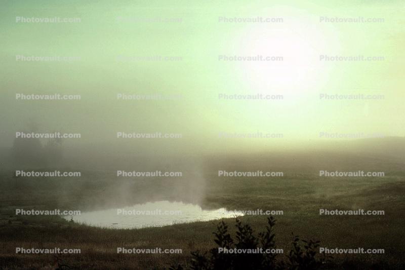 Foggy Pond,  Morning, Fog, Burke, Vermont