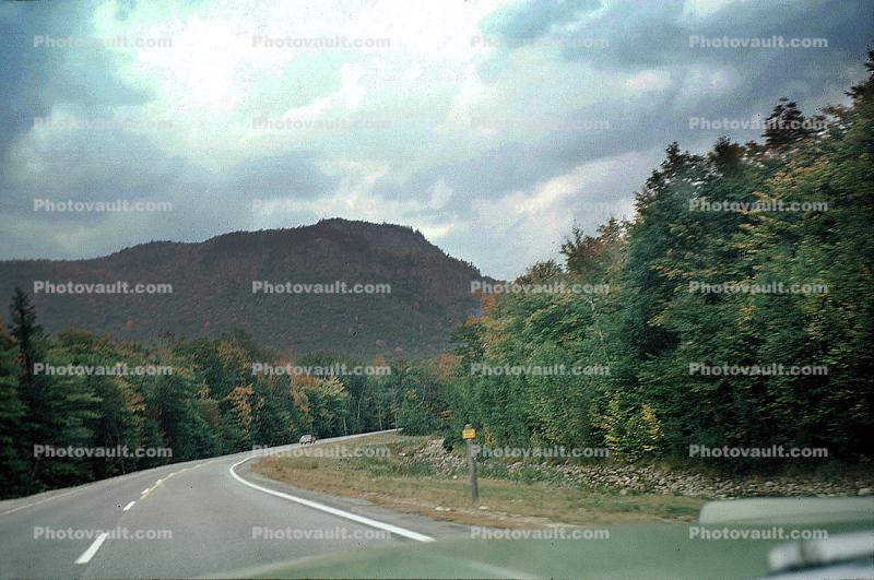 Road, highway, forest, trees