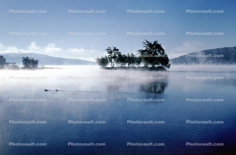 Steam on a Lake, island, ducks, water
