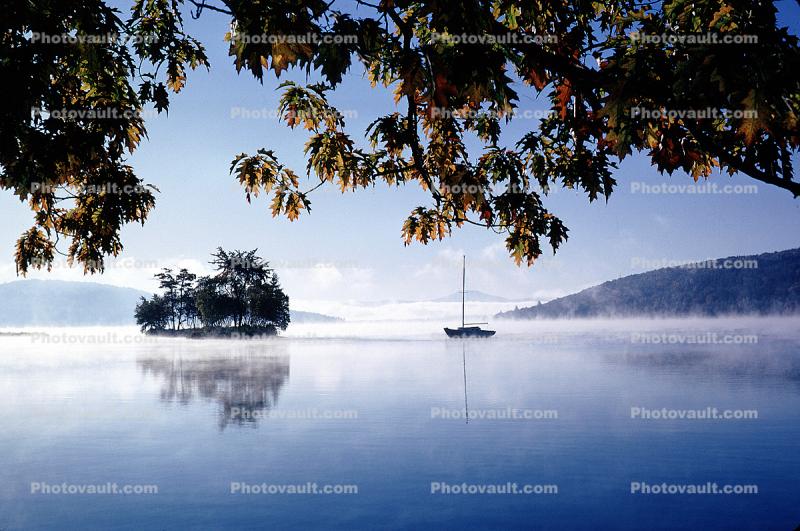 Steam on a Lake, island, tree, leaves, water, cottagecore