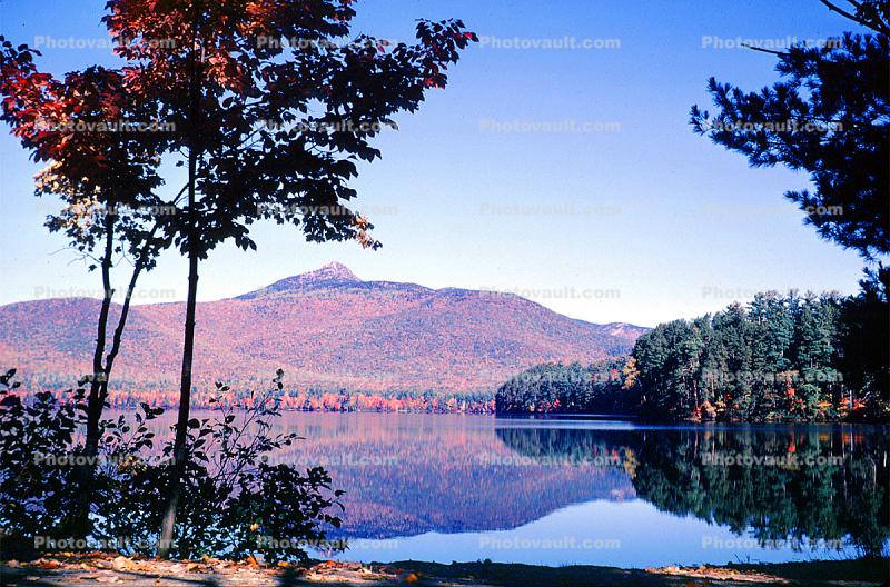 Forest, Woodlands, Trees, Hills, Reflecting Lake, Mountains, autumn, water