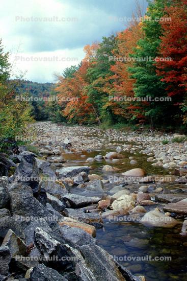 Woodland, Forest, Trees, River, Rocks, autumn