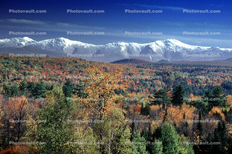 Woodland, Forest, Trees, Mountain Range, autumn
