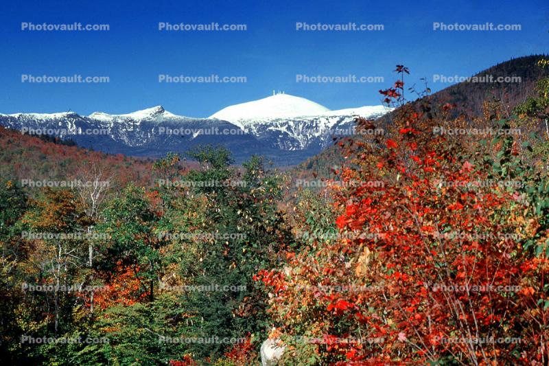 Woodland, Forest, Trees, Mountain Range, autumn