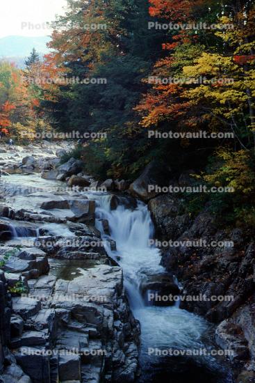 Waterfall, Stream, River, Woodland, Forest, Trees, Rocks, Fall Colors, Autumn, Vegetation, Flora, Plants, Colorful, Woods, Exterior, Outdoors, Outside