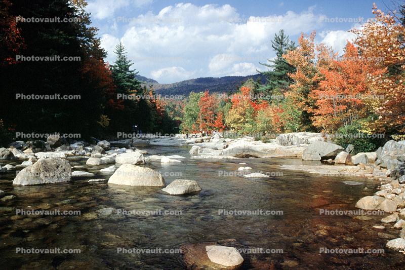 Woodland, Forest, Trees, River, Rocks, Fall Colors, Autumn