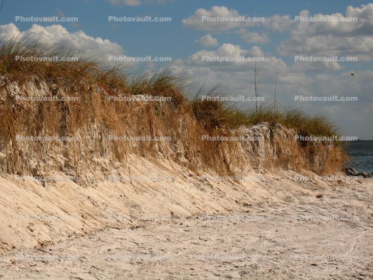 Cliff, Sand, Seashore, Erosion, Fort Meyers, Florid