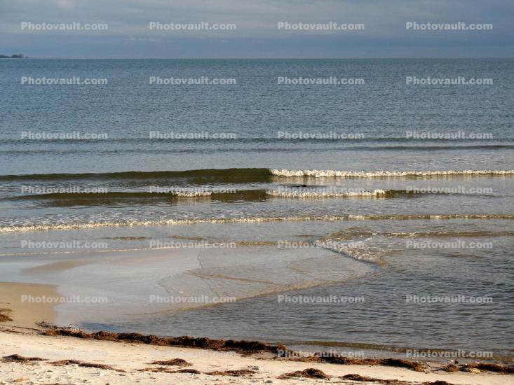 Seashore Water, Waveletts, Waves, Gulf
