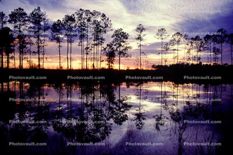 Okeefenokee Swamp, wetlands