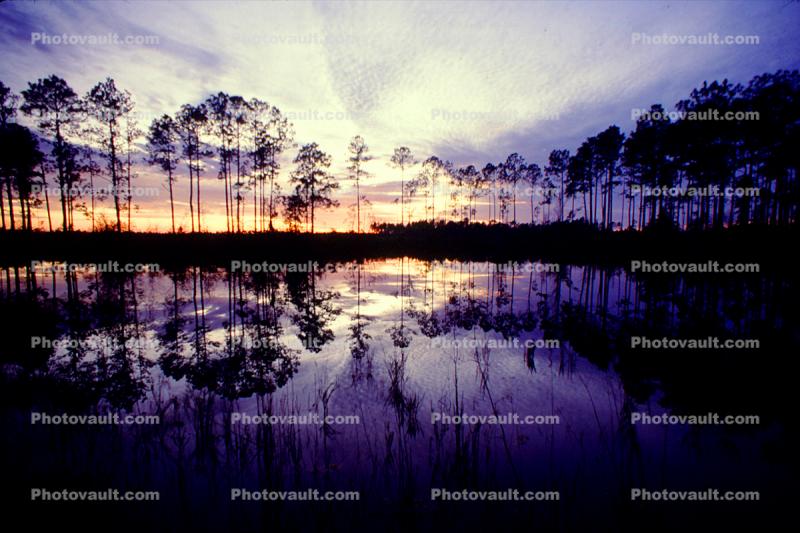 Okeefenokee Swamp, wetlands