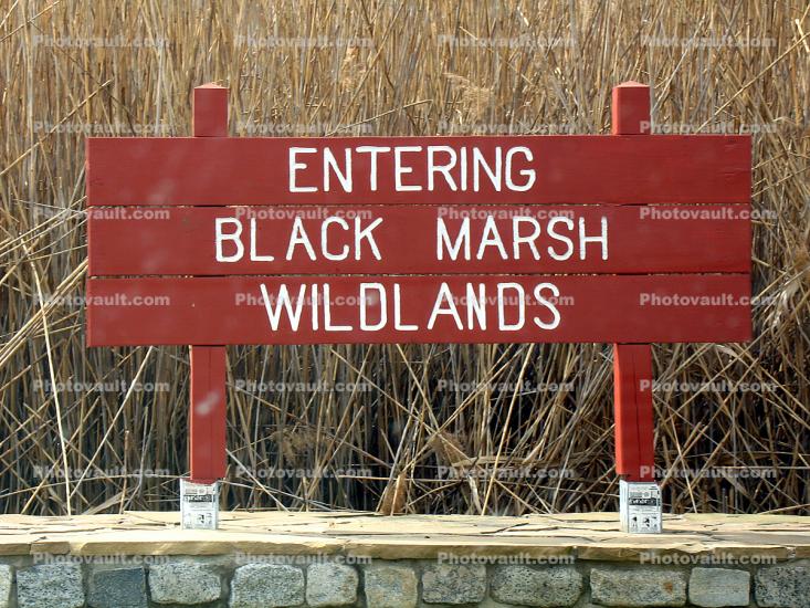 Entering Black Marsh Wildlands
