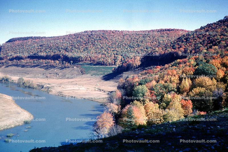 River, Woodland, Forest, Trees, Hills, autumn